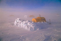 Securing tents during snow storm. Patriot hills, Ellsworth Mountains, Antarctica