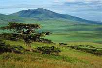 Ngorongoro National Reserve Tanzania, Africa