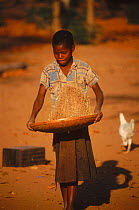 Shangani girl winnowing sorghum. Zimbabwe, Southern Africa