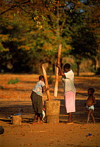 Shangani women grinding sorghum. Zimbabwe, Southern Africa