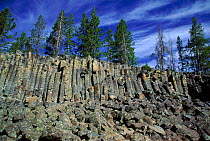 Columnar basalt rock formations. Sheepeaters creek, Yellowstone NP, Wyoming, USA