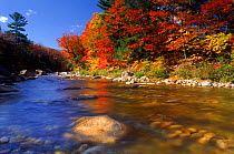 Autumn colours at Saco valley, White mountains, New Hampshire, USA
