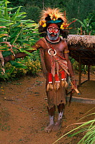 Huli wigman with bird of paradise feather headress Irian Jaya / West Papua, Papua New Guinea. 1990. (West Papua).