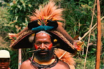Huli wigman with bird of paradise feather headress Irian Jaya / West Papua, Papua New Guinea. 1990. (West Papua).