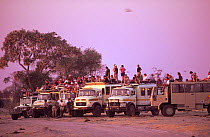 Tourists on overland vehicles watching game at waterhole, Savuti, Botswana