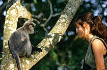 Charlotte Uhlenbroek presenter of BBC television series "Cousins", with Silvered leaf monkey, on location in Thailand, 1999