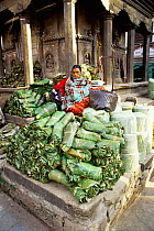 Woman selling Sal tree leaves for use as plates, Durbar square, Kathmandu, Nepal 2001