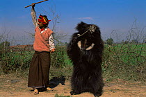 Keeper with dancing Sloth bear {Melursus ursinus} purely for tourism, recently banned and made illegal in Rajasthan, Agra, India