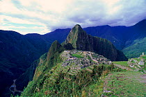 Machu Picchu with Huanya Picchu in background, Peru, South America