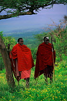 Masai warriors Serengeti NP, Tanzania
