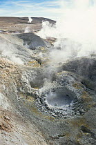 Geysers and boiling mud, Sol de Mamama geyser, Altiplano, Bolivia