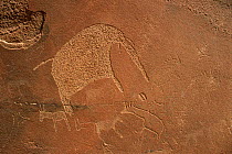 Rock drawing of elephant, Twyfelfontein, Namibia