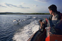 Simon King filming Whooper swans in flight for BBC programme Addicted to Swans.