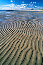 Sandy beach with sand ripples at low tide. Seahouses, Northumberland, UK