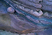 Rock formation with stone Northumberland coast, UK Seahouses