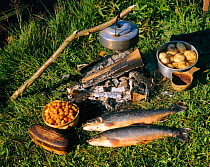 Freshly caught fish prepared for cooking, Sweden