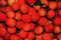 Lychee fruit {Litchi chinensis} Mauritius Port Louis market