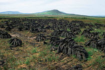 Peat cuts stacked to dry, Republic of Ireland