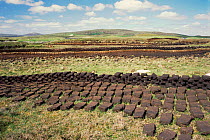 Peat diggings N. Uist, Outer Hebrides, Western Isles Scotland, Uk