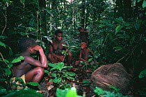 Bambuti net hunters at forest hunting camp with traditional nets, Epulu Ituri Rainforest Reserve, Democratic Republic of Congo, Central Africa