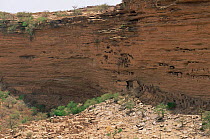 Dogon escarpment in rockface, Mali, North Africa