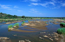 Olifants river, with sand banks and low water during summer. Kruger NP, South Africa.