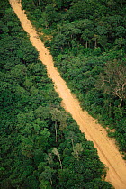 Road cutting through rainforest - opens up forest to exploitation. Manaus, Brazil.