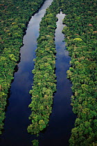 Aerial view of Amazon tropical rainforest, with river tributary, Manaus, Brazil.
