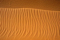 Sand formations in the Sinai desert, Egypt.