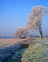 Cheddar Moor landscape in winter. Somerset, UK