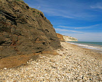 Coastline by Culver cliff, Isle of Wight. In the Early Cretaceous era Wealden clays was a tropical lakebed. Fossilized dinosaur footprints can now be found amongst loose boulders at the toe of the cli...