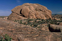 "Onion skin weathering" or weathering on granite rock, Mohave desert, California, USA