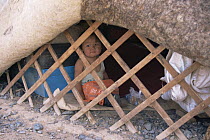 Child sitting in yurt (home), with felt-lined walls. Gobi Desert, Mongolia.