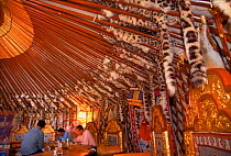 Snow leopard furs (confiscated) used as decoration inside yurt (tent), Gobi Desert, Mongolia.