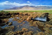 Permafrost on Tibetan Plateau, with mountains in background, Ladakh, North East India