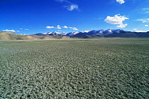 The barren permafrost of the Tibetan Plateau with Himalayan mountain range in background, Ladakh, North East India