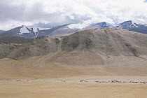 Tibetan Plateau landscape, with snow capped mountains. Ladakh, NE India