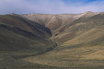 Tibetan Plateau landscape, with valley. Ladakh, NE India