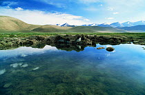Tibetan Plateau landscape with permafrost on edge of water, Ladakh, North East India