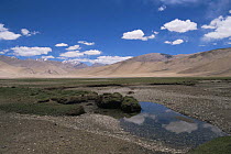 Tibetan Plateau landscape, with mountains in background. Ladakh, NE India