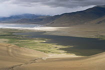Tibetan Plateau landscape, with glacial lake in valley bottom. Ladakh, NE India