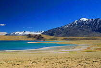 Tsomoris Lake (salt lake) with snow-capped mountains in background, Ladakh, North East India