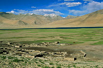 Nomadic settlement (used during winter), Ladakh, North East India