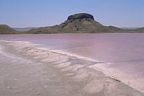 Eroyulanduz Salt Lake with pink algae, basalt chimney behind, Badkhyz, Turkmenistan