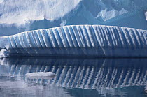 Iceberg, detail of erosion, Antarctica.