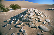 Wind eroded broken rocks in Death Valley desert, California, USA