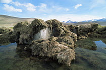 Permafrost exposed at edge of water, Ladakh, India