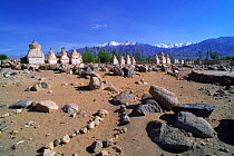 Old burial sites, Tikse, Ladakh, North East India