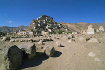 Old burial sites, Tikse, Ladakh, India