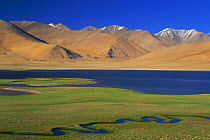 Mountain landscape with lake and meandering river tributary, Ladakh, North East India